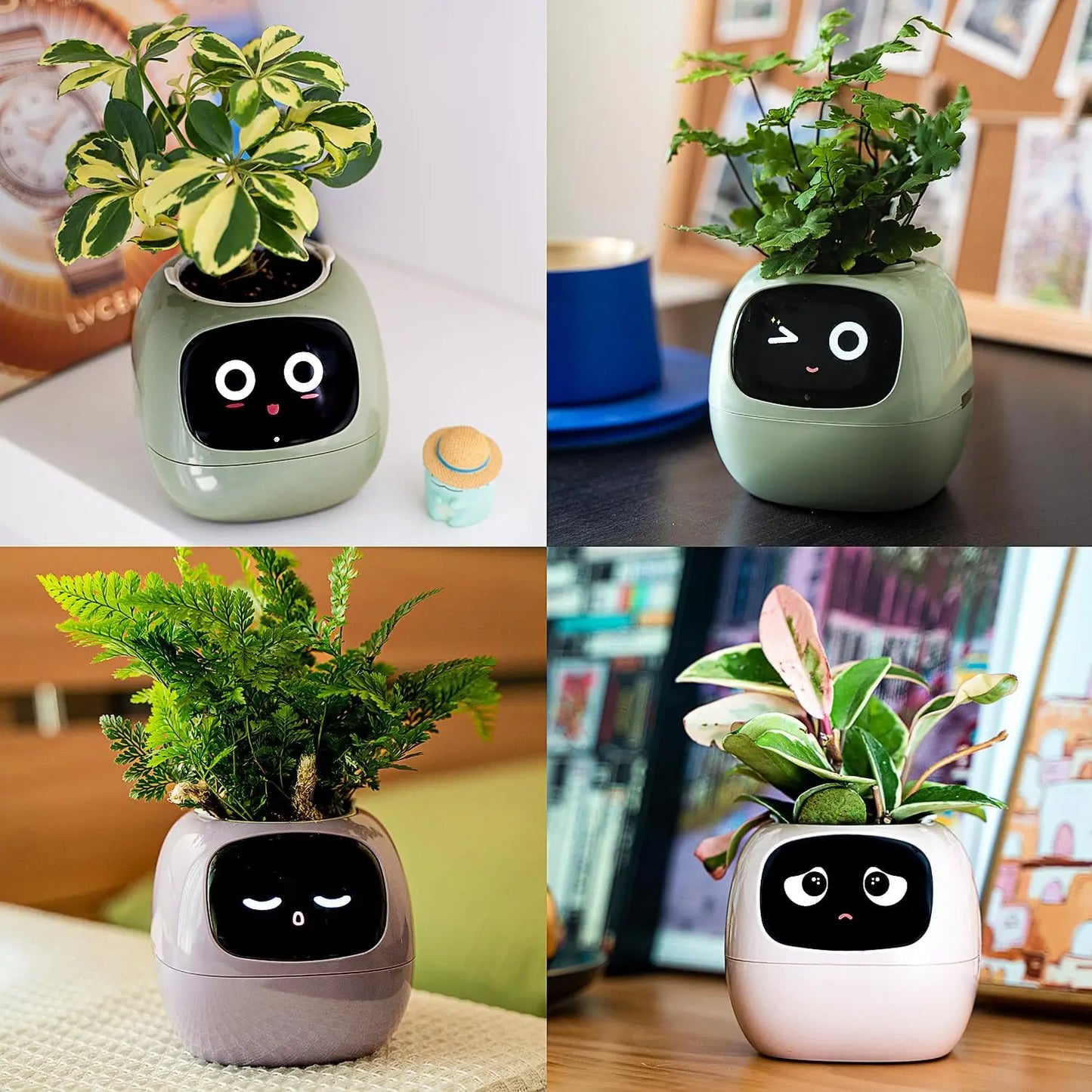 IvyBot 🪴🤖 La Maceta Inteligente que Cobra Vida"