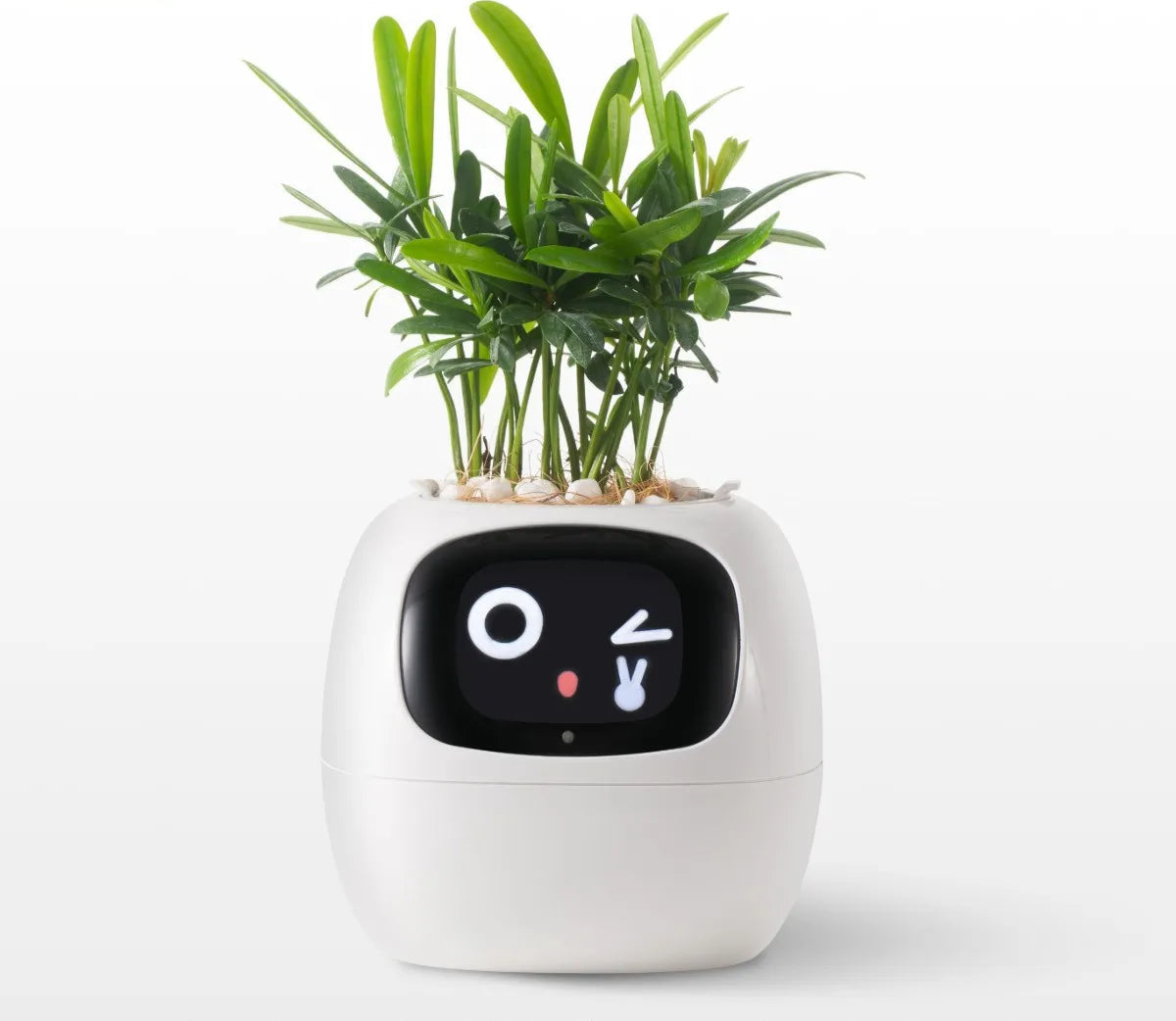 IvyBot 🪴🤖 La Maceta Inteligente que Cobra Vida"