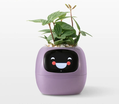 IvyBot 🪴🤖 La Maceta Inteligente que Cobra Vida"