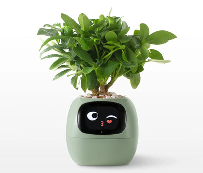 IvyBot 🪴🤖 La Maceta Inteligente que Cobra Vida"