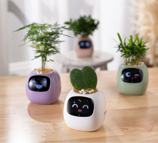 IvyBot 🪴🤖 La Maceta Inteligente que Cobra Vida"